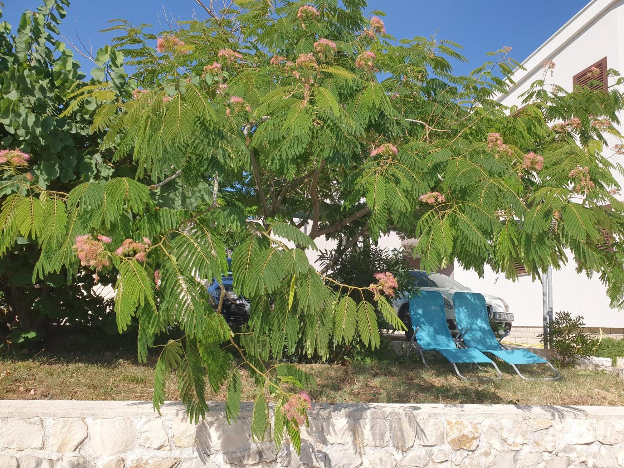 Apartmani Kunteja Pag Town Dış mekan fotoğraf