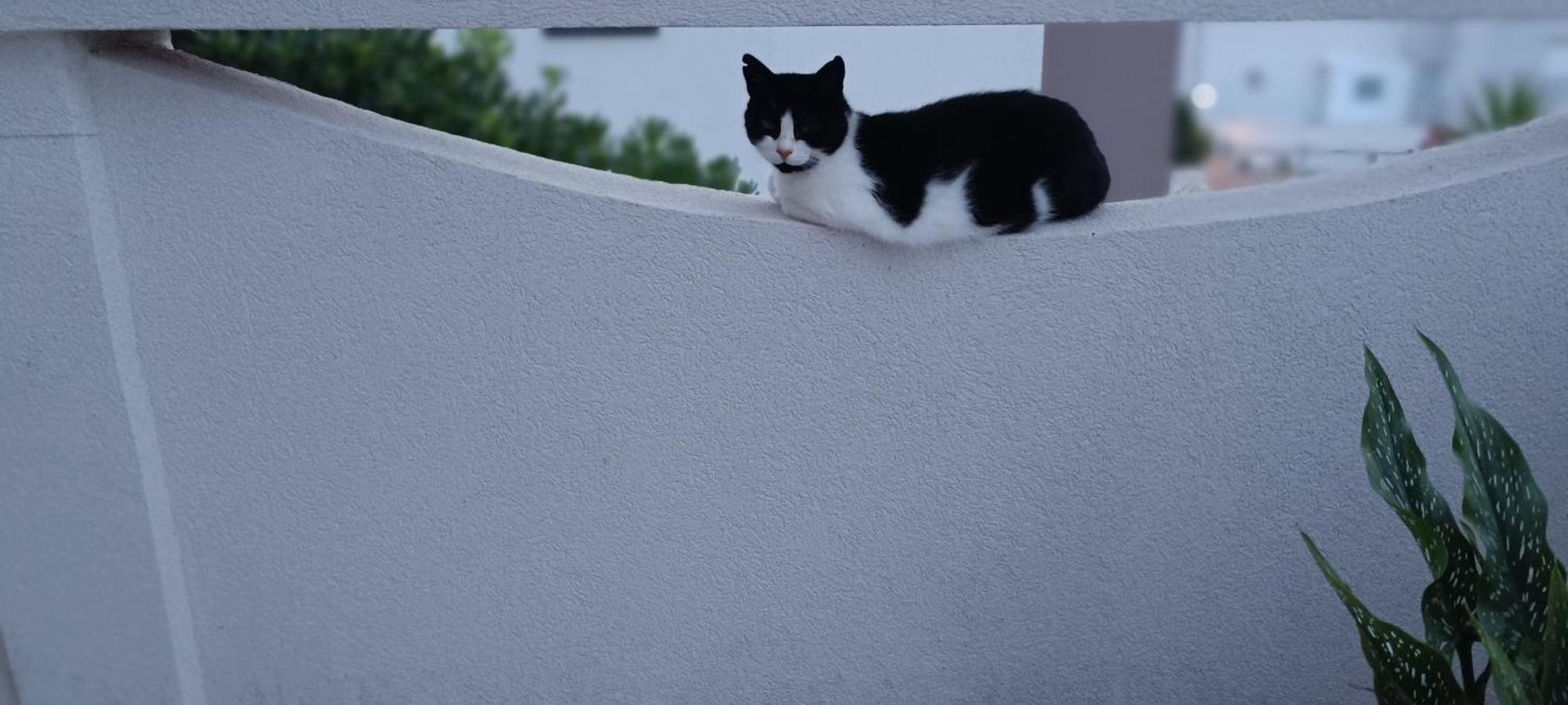 Apartmani Kunteja Pag Town Dış mekan fotoğraf